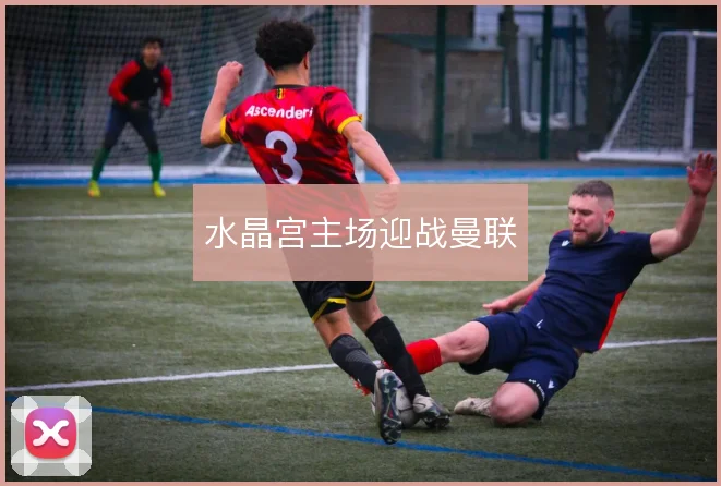 水晶宫主场迎战曼联