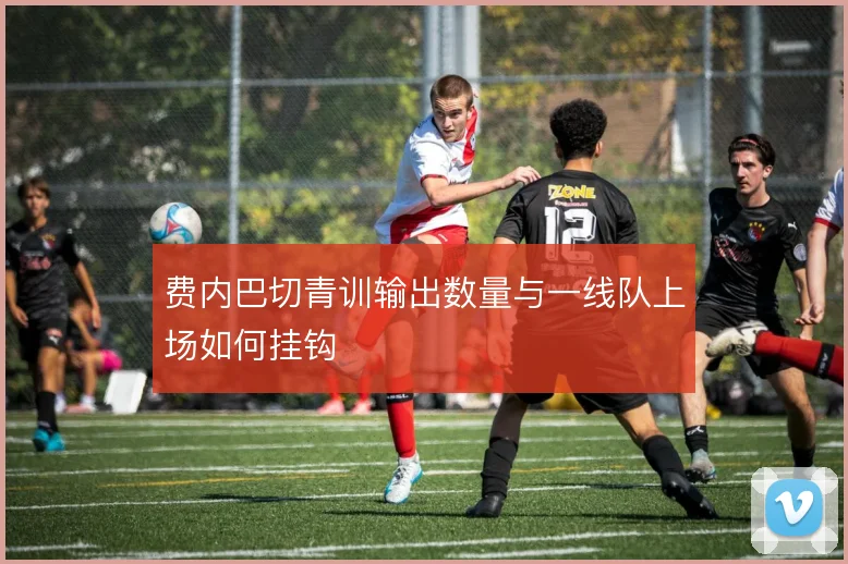 费内巴切青训输出数量与一线队上场如何挂钩